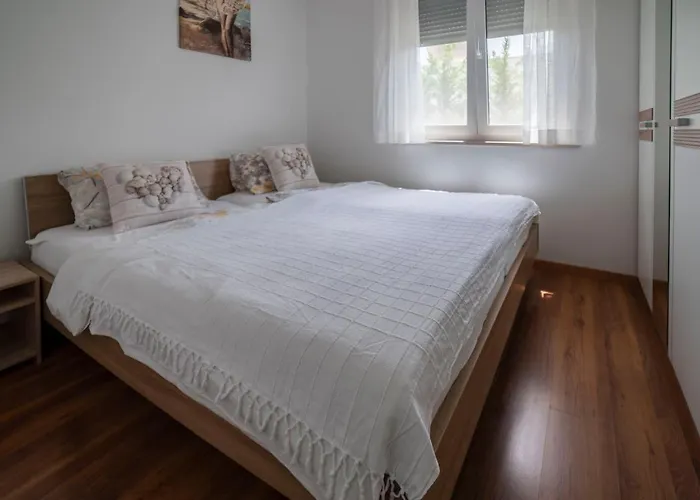 Adriana 公寓 普拉